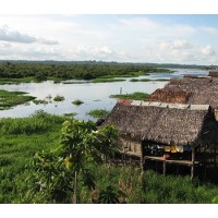 5-Day Jungle Tour - Iquitos