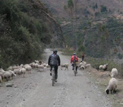 Lares Biking Full Day - Cusco