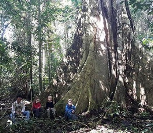 5 day Biwa Program - Madidi Jungle Ecolodge