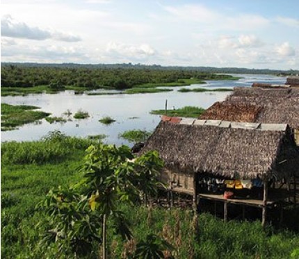 5-Day Jungle Tour - Iquitos