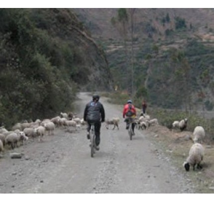 Lares Biking Full Day - Cusco
