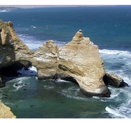 Paracas National Reserve & Ballestas Islands Day Trip (from Huacachina)