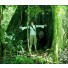 4-Day Wabu Program - Madidi Jungle Ecolodge