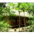 4-Day Wabu Program - Madidi Jungle Ecolodge