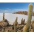 Salar de Uyuni - Salt Flats Tours Bolivia - Budget Standard Plus