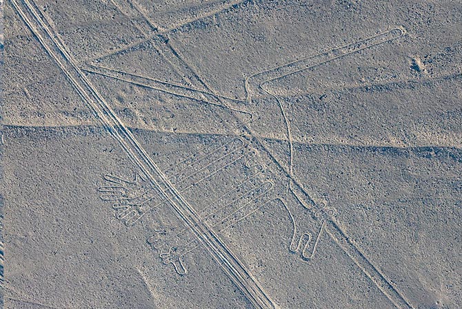 Dog Nazca Lines