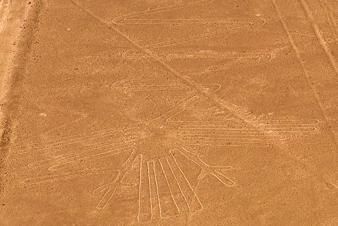 Heron Nazca Lines