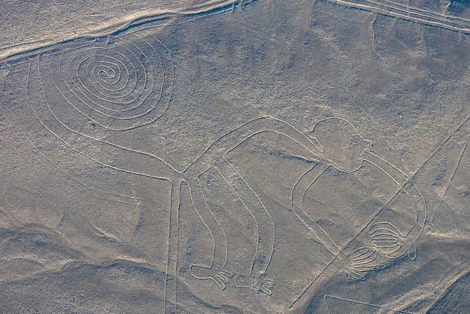 Monkey Nazca Lines