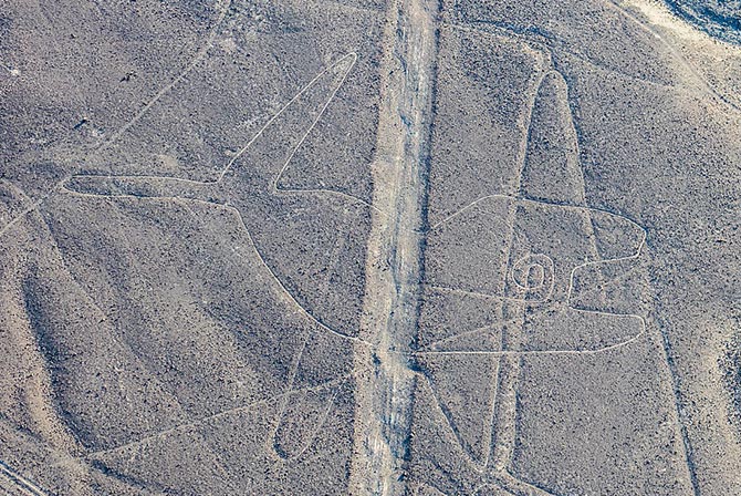 Whale Nazca Lines