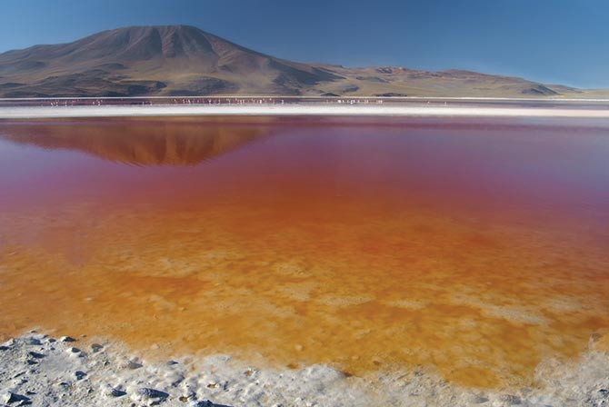 Laguna Colorada Red Lake Uyuni
